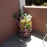 Margarita * Zóla